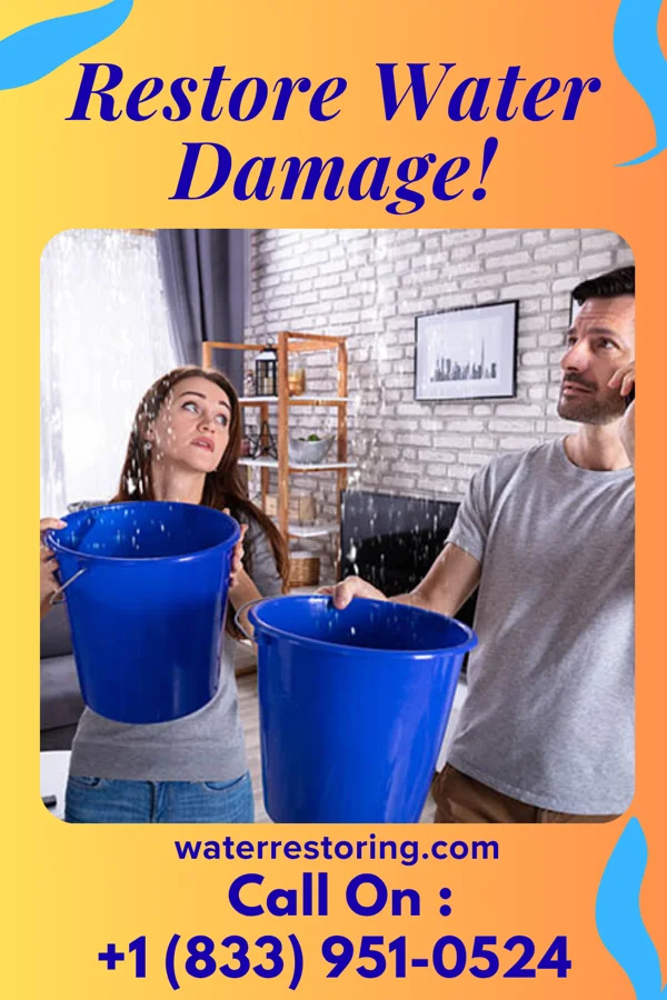 water restoration Lightning Sewage Cleanup Network Algiers