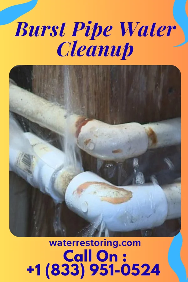 Burst Pipe Water Cleanup in Algiers, VT