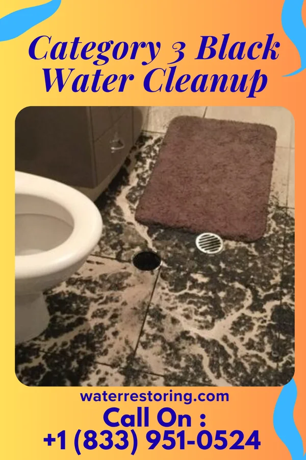 Category 3 Black Water Cleanup in Algiers, VT