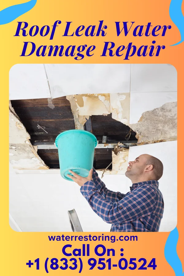 Roof Leak Water Damage Repair in Algiers, VT