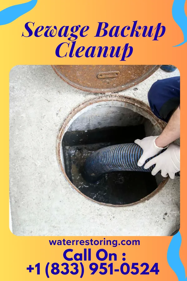 Sewage Backup Cleanup in Algiers, VT