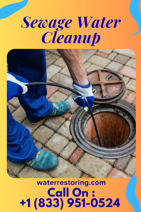 Sewage Water Cleanup in Algiers, VT