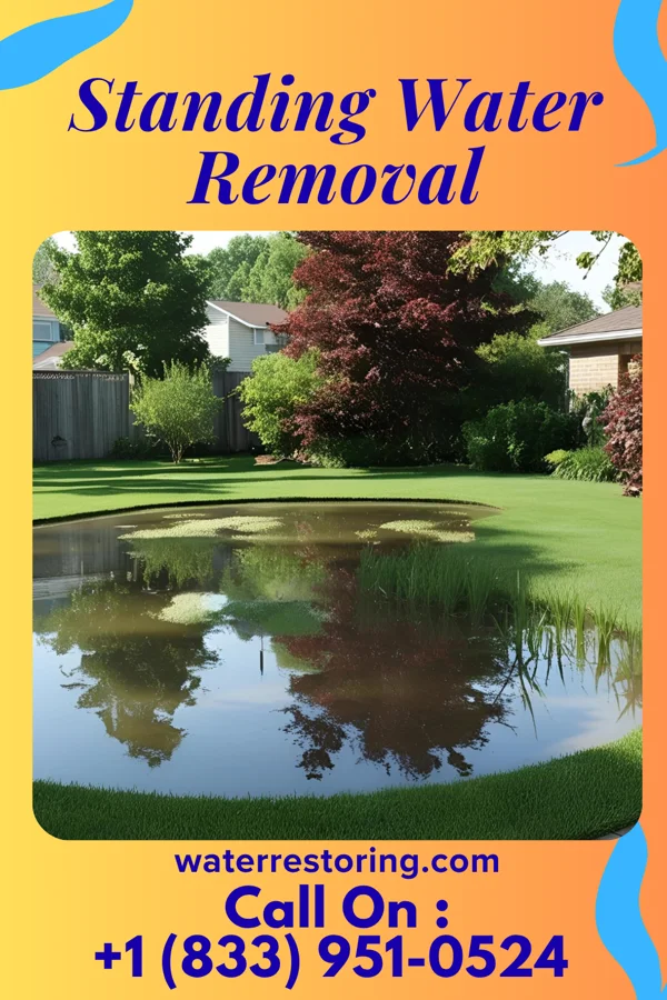 Standing Water Removal in Algiers, VT